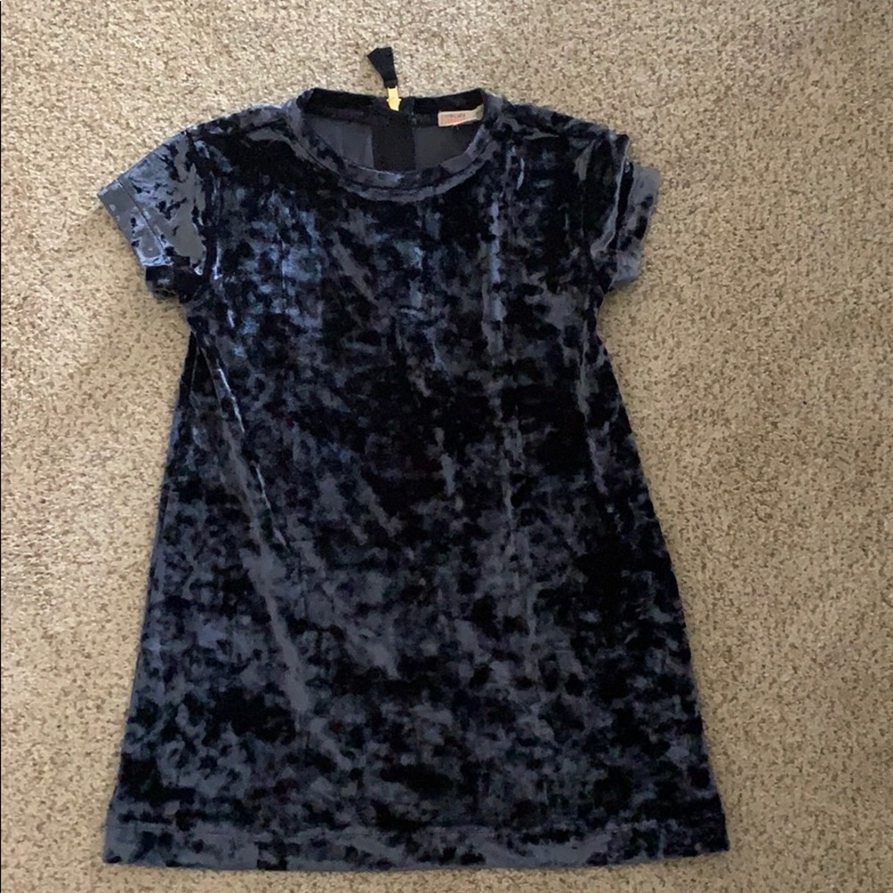 J Crew Crushed blue velvet dress